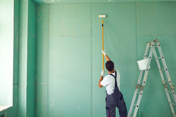Best Mold Remediation for Rental Properties  in Rutland, VT