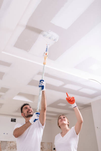 Professional Mold Removal in Rutland, VT