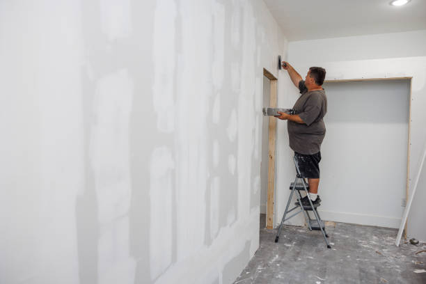 Best Mold Prevention Services  in Rutland, VT